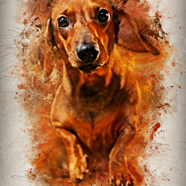 Personalized portraits of your pet (1)